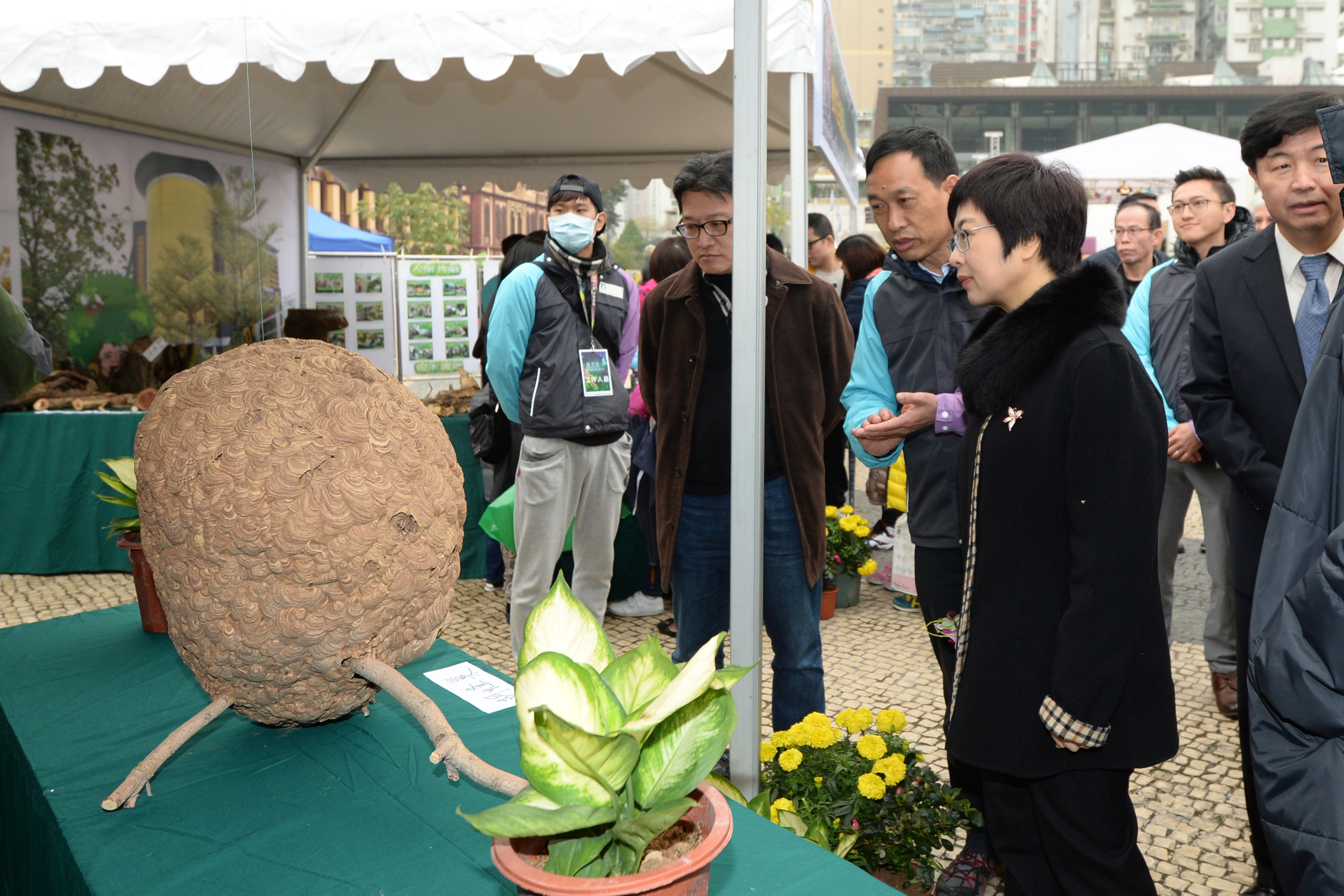 行政法務司司長陳海帆主持第三十五屆澳門綠化周開幕禮