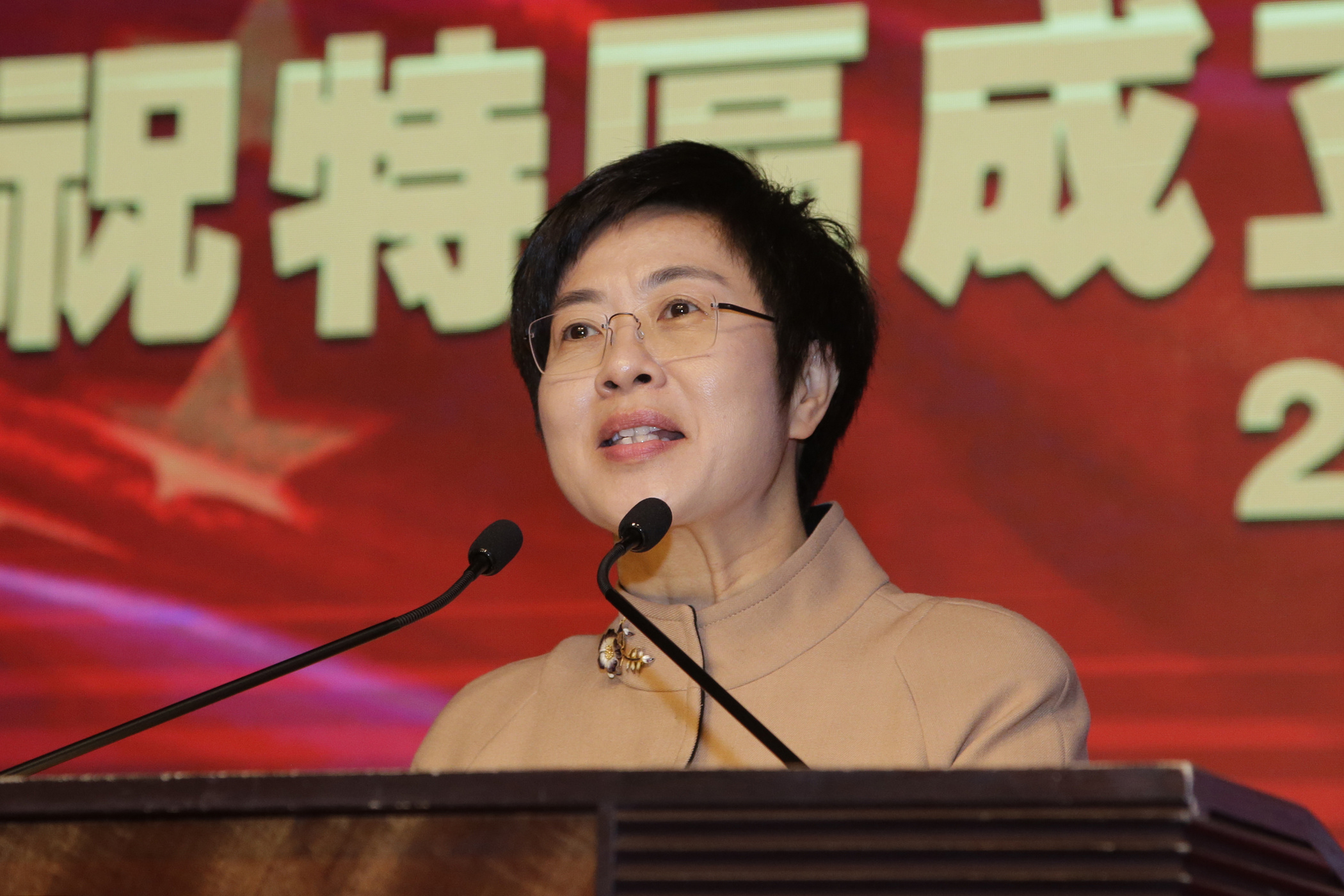 行政法務司司長陳海帆在“慶祝澳門特區成立十八周年聯歡晚會”上致詞