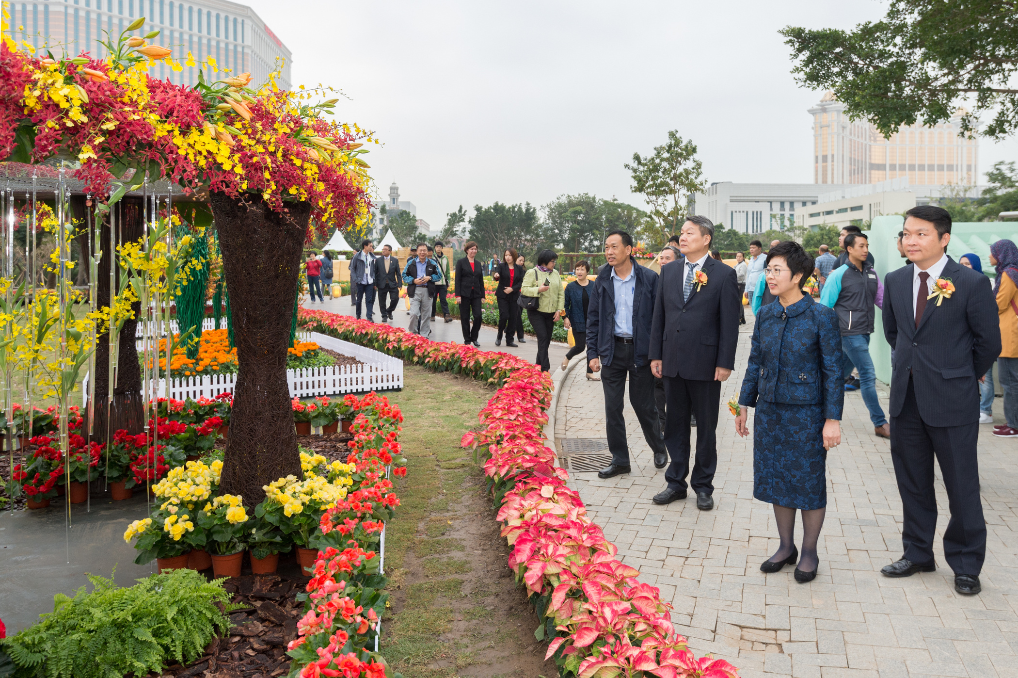代理行政長官陳海帆出席「冬季花卉展」