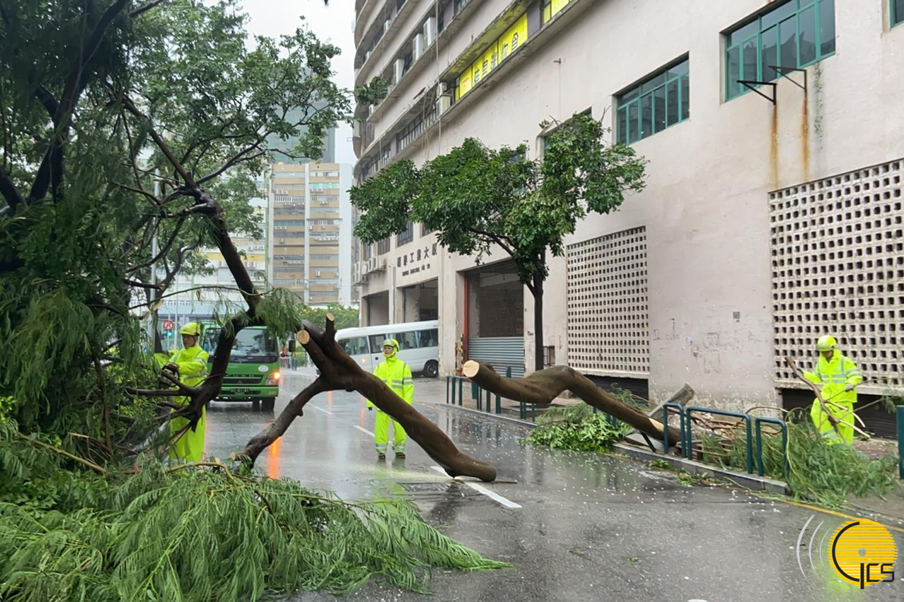 市政署全力跟進颱風