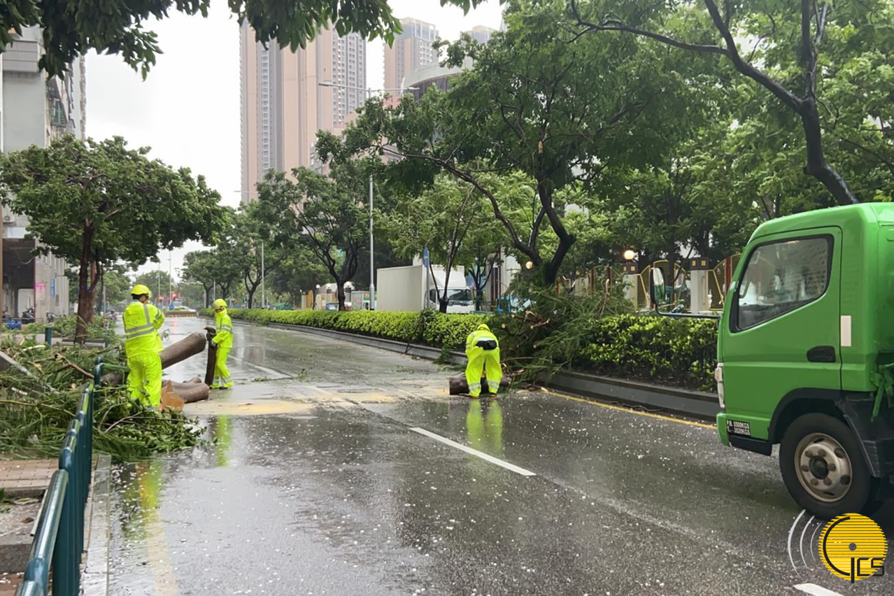 市政署全力跟進颱風