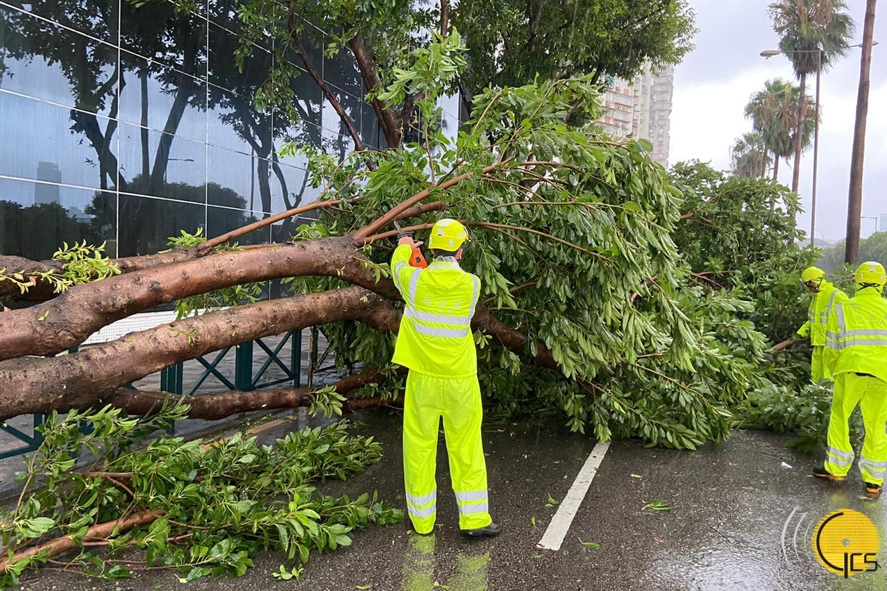 市政署全力跟進颱風