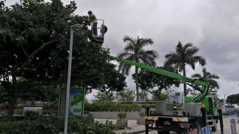 Inspecção e manutenção de árvores durante a época de tufões e gestão 
de instalações de arborização após passagem de tufão
