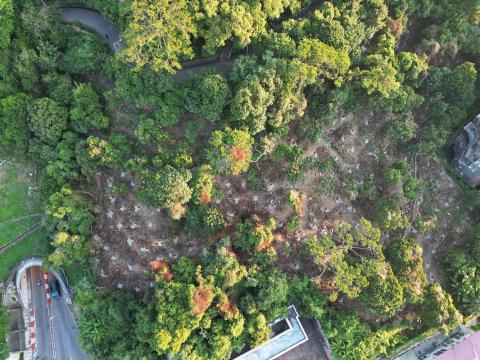 松山准备客土
