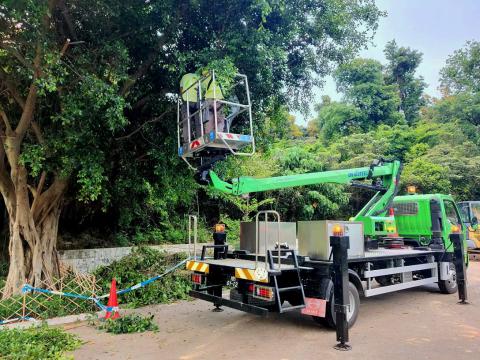 Inspecção e manutenção de árvores durante a época de tufões e gestão 
de instalações de arborização após passagem de tufão
