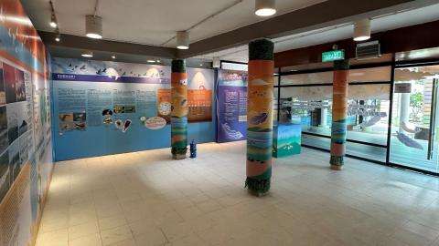 市政署松山自然资讯站办粤澳候鸟护飞行动图文展
