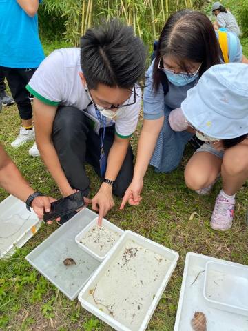 观察湿地间的生物，学习生态观察、湿地生态系统及部分湿地生物等的相关知识
