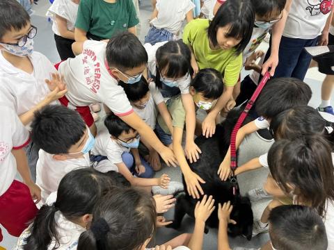 透过校园讲座让学生与宠物互动
