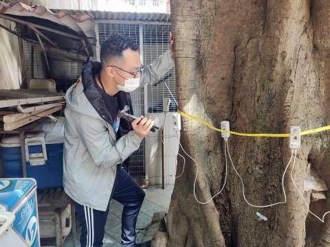 市政署护树人员以仪器监测树木的健康状况。
