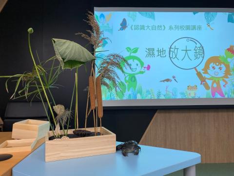 湿地放大镜-动植物标本
