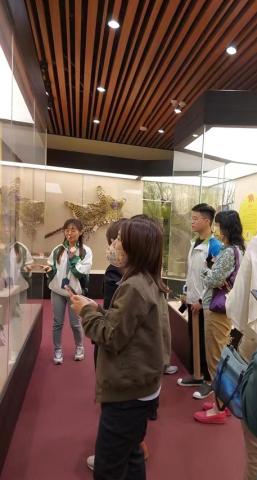 市民参与探索澳门动物标本展示馆活动
