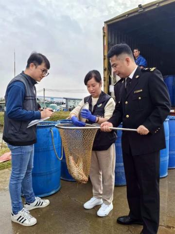 市政署聯同拱北海關對供澳食用水生動物註冊養殖場、中轉場開展聯合巡查監管。
