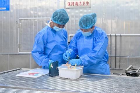 Guangdong e Macau coordenam os procedimentos de passagem fronteiriça rápida
e de inspecção e quarentena prioritária para garantir a qualidade e a
higiene dos frangos frescos
Guangdong e Macau coordenam os procedimentos de passagem fronteiriça rápida
e de inspecção e quarentena prioritária para garantir a qualidade e a
higiene dos frangos frescos