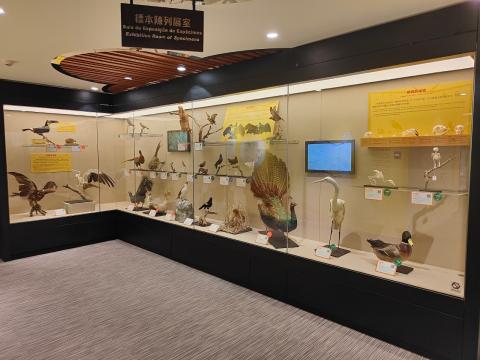 澳门动物标本展示馆是澳门首间针对动物及自然生态的展示馆，展出约一百四十件展品。
