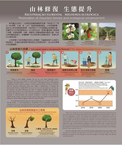 山林修理 生态提升(设计图)
