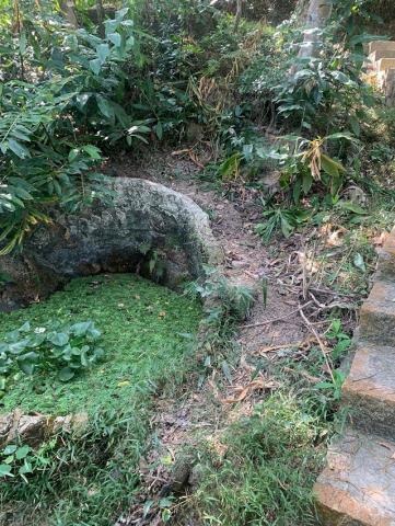 植物被破坏现场
