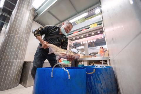 O Mercado da Horta da Mitra reabre hoje ao público, estando a funcionar 
dentro da normalidade.
