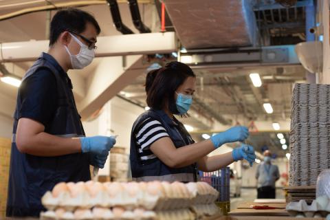 市政署检疫人员到新批发市场采集环境样本
