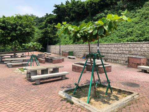 大潭山郊野公園燒烤區
