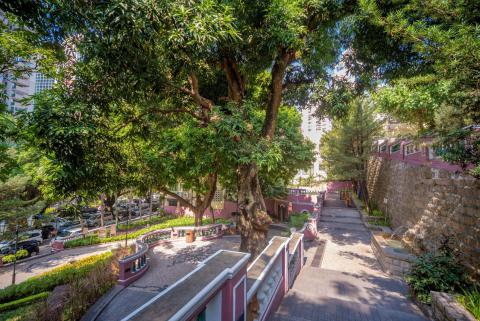 市政署推出「澳门古树名木」网页，让更多市民能多方面认识本澳的古树名木，加强保护意识。
