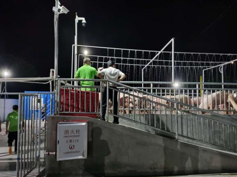 斗門供澳活豬過駁站今（25日）啟用，活豬供應量將回復新冠肺炎疫情前水平
