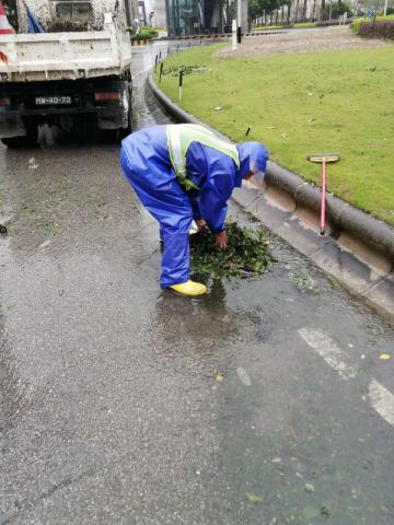 工作人員亦以人手清理雨水井
