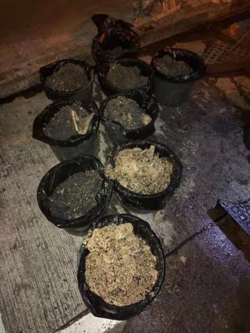 于俾利喇街一段下水道清出约4200公斤油脂固结物
