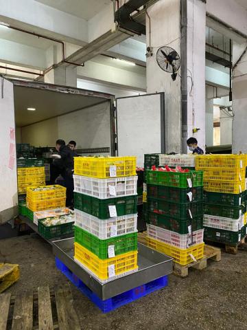 大批蔬菜、肉类、鲜鱼等农副产品及鲜活食品运抵本澳
