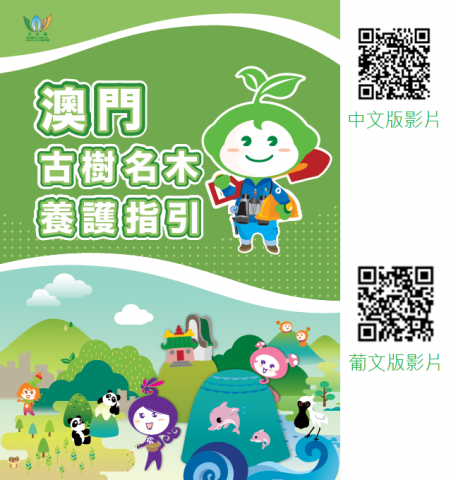 《澳门古树名木养护指引》动画影片

