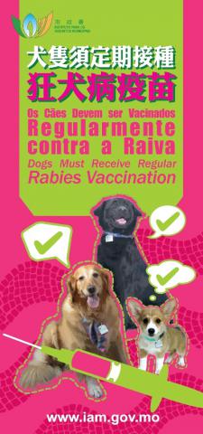 响应世界狂犬病日 定期为犬只注射狂犬病疫苗
