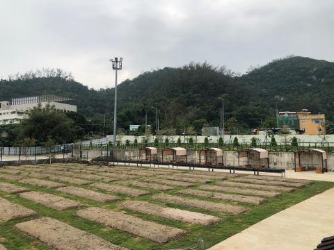 O número de terrenos com fim de cultivação foi aumentado para 150
