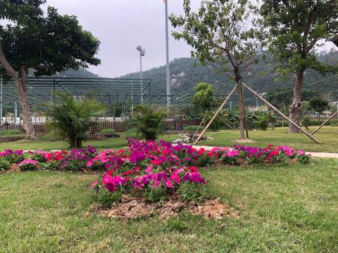 于开心农耕场可观赏到不同花卉
