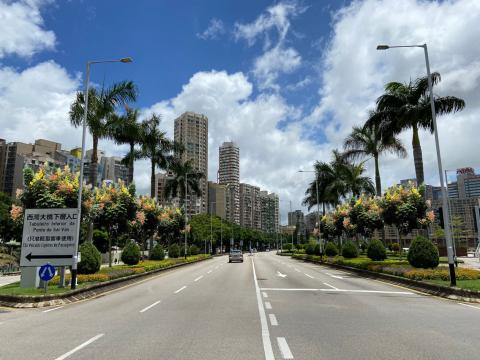 何鴻燊博士大馬路植樹後效果圖
