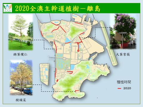 2020全澳主干道植树－离岛
